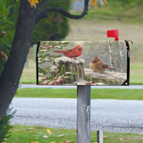 Winter Birds Mailbox Cover